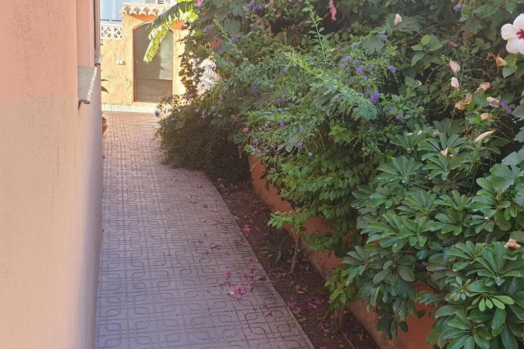 Casa Hurtado De Mendoza Pequena Almuñécar Buitenkant foto